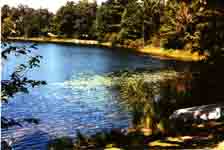 Plate 10. Norman Township Park, Crystal Lake, Wellston, Michigan